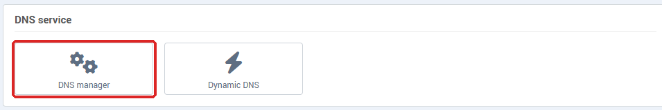 DNS service card of Hosting management, with the DNS manager tile