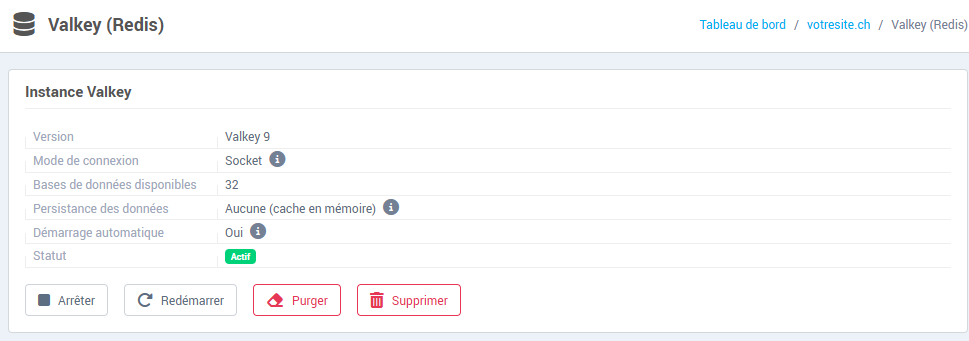 Le bloc Instance Valkey : version, mode de connexion, bases disponibles, statut et boutons