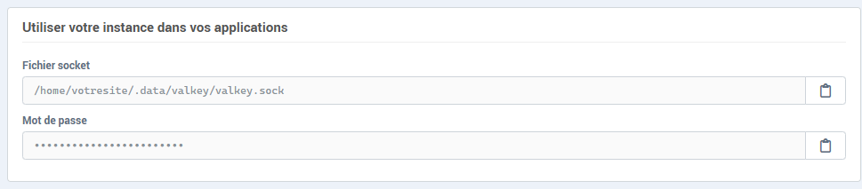 Le bloc Utiliser votre instance dans vos applications : fichier socket et mot de passe