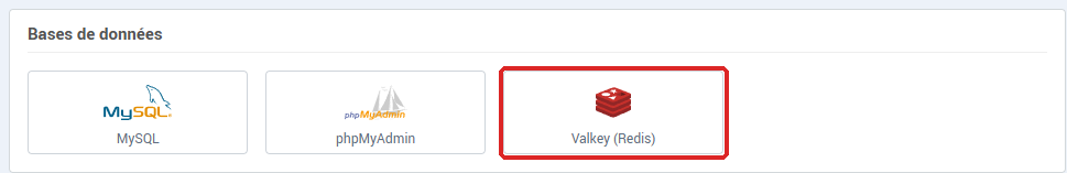 La carte Bases de données de la Gestion de l'hébergement, avec le bouton Valkey (Redis)