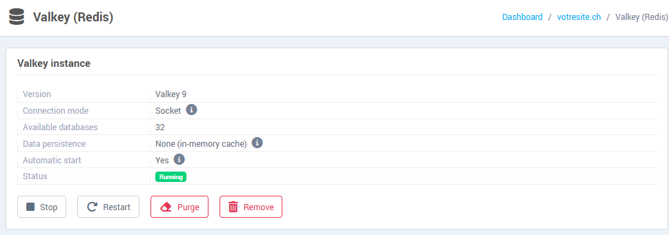 The Valkey instance block: version, connection mode, available databases, status and buttons