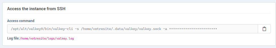 The Access the instance from SSH block: access command and log file