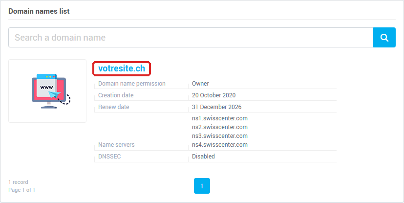 Domain names list in the domains console