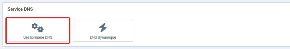 La carte Service DNS de la Gestion de l'hébergement, avec le bouton Gestionnaire DNS